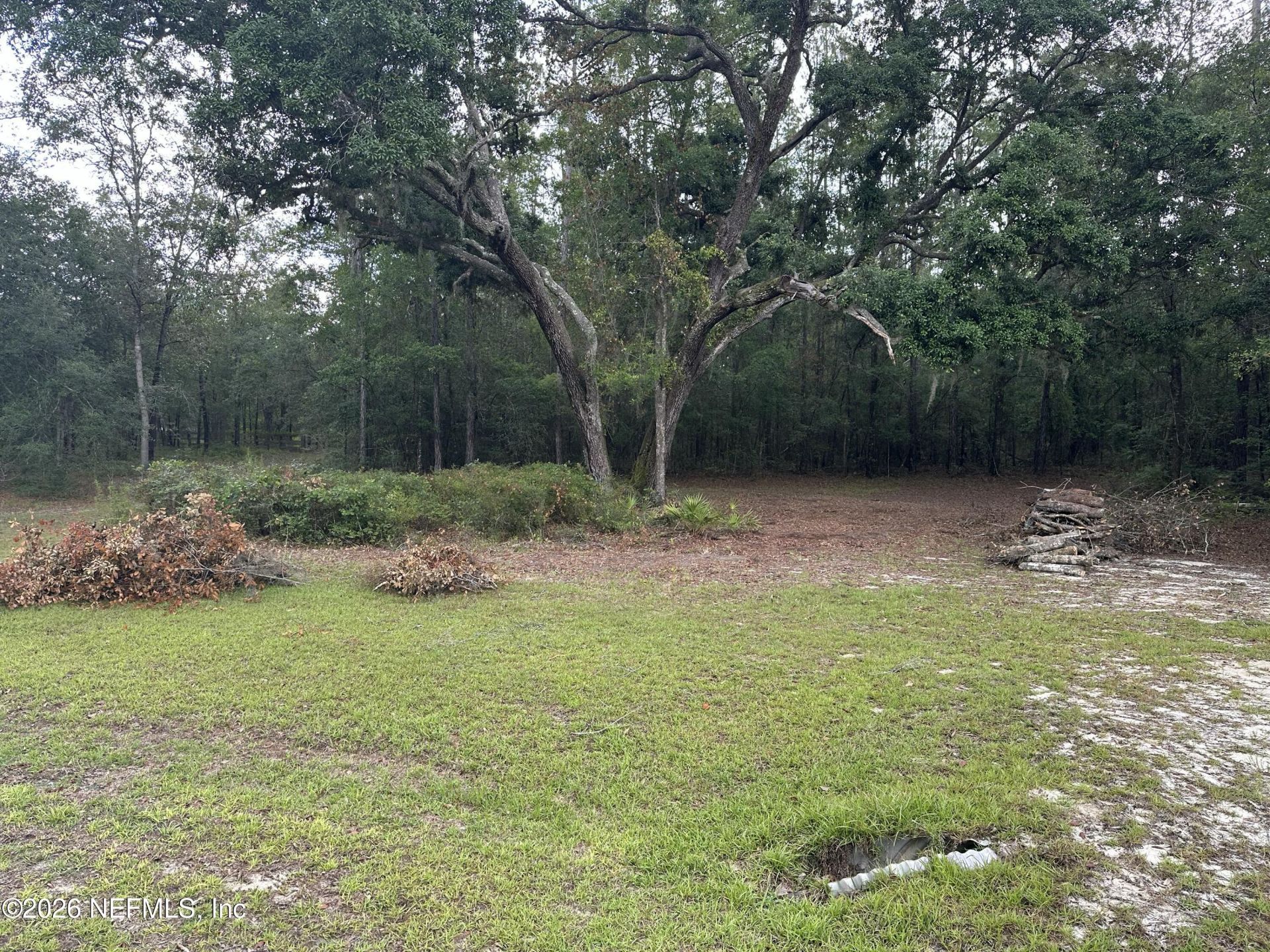 15422 Bullock Bluff Rd Road, Bryceville, FL 32009 Photo
