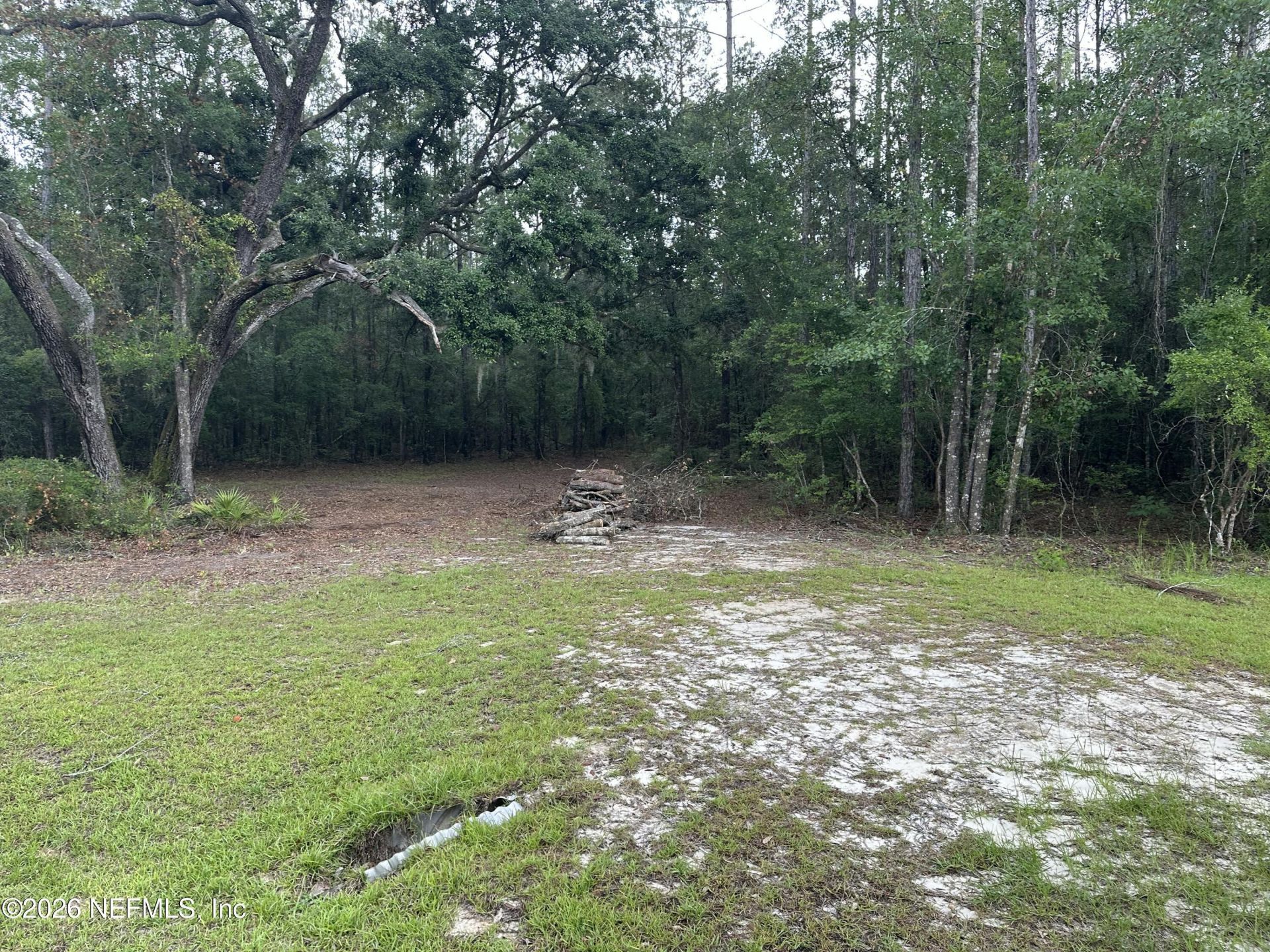 15422 Bullock Bluff Rd Road, Bryceville, FL 32009 Photo