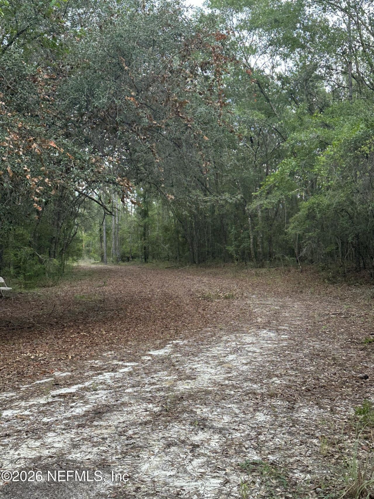 15422 Bullock Bluff Rd Road, Bryceville, FL 32009 Photo