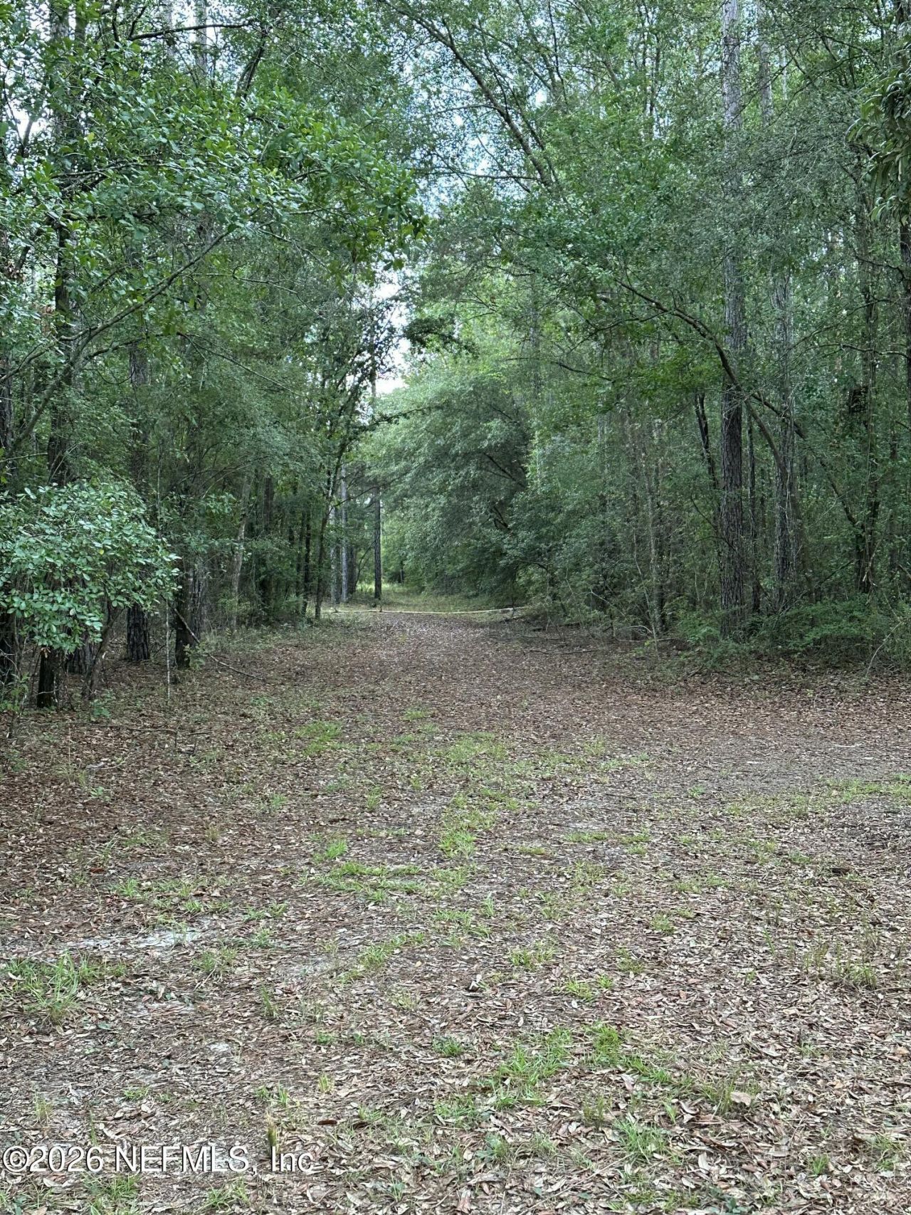 15422 Bullock Bluff Rd Road, Bryceville, FL 32009 Photo