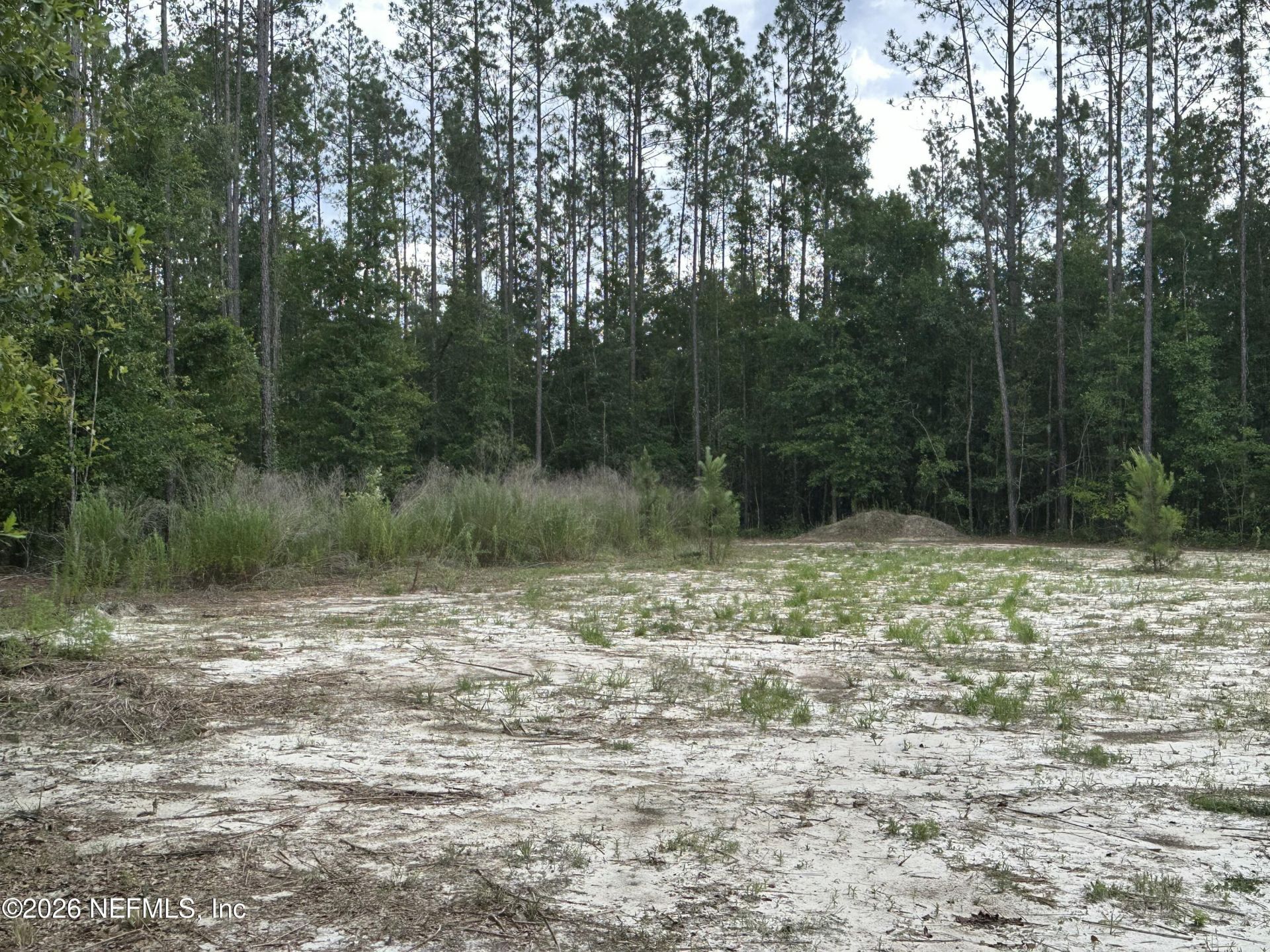 15422 Bullock Bluff Rd Road, Bryceville, FL 32009 Photo