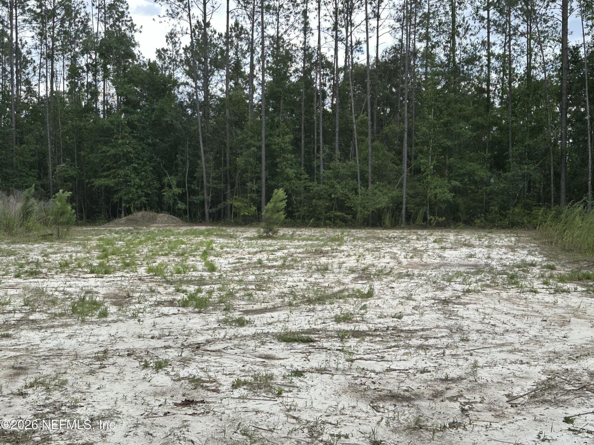 15422 Bullock Bluff Rd Road, Bryceville, FL 32009 Photo