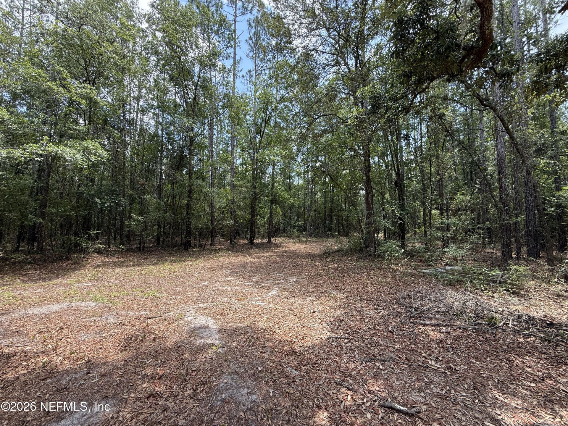 15422 Bullock Bluff Rd Road, Bryceville, FL 32009 Photo