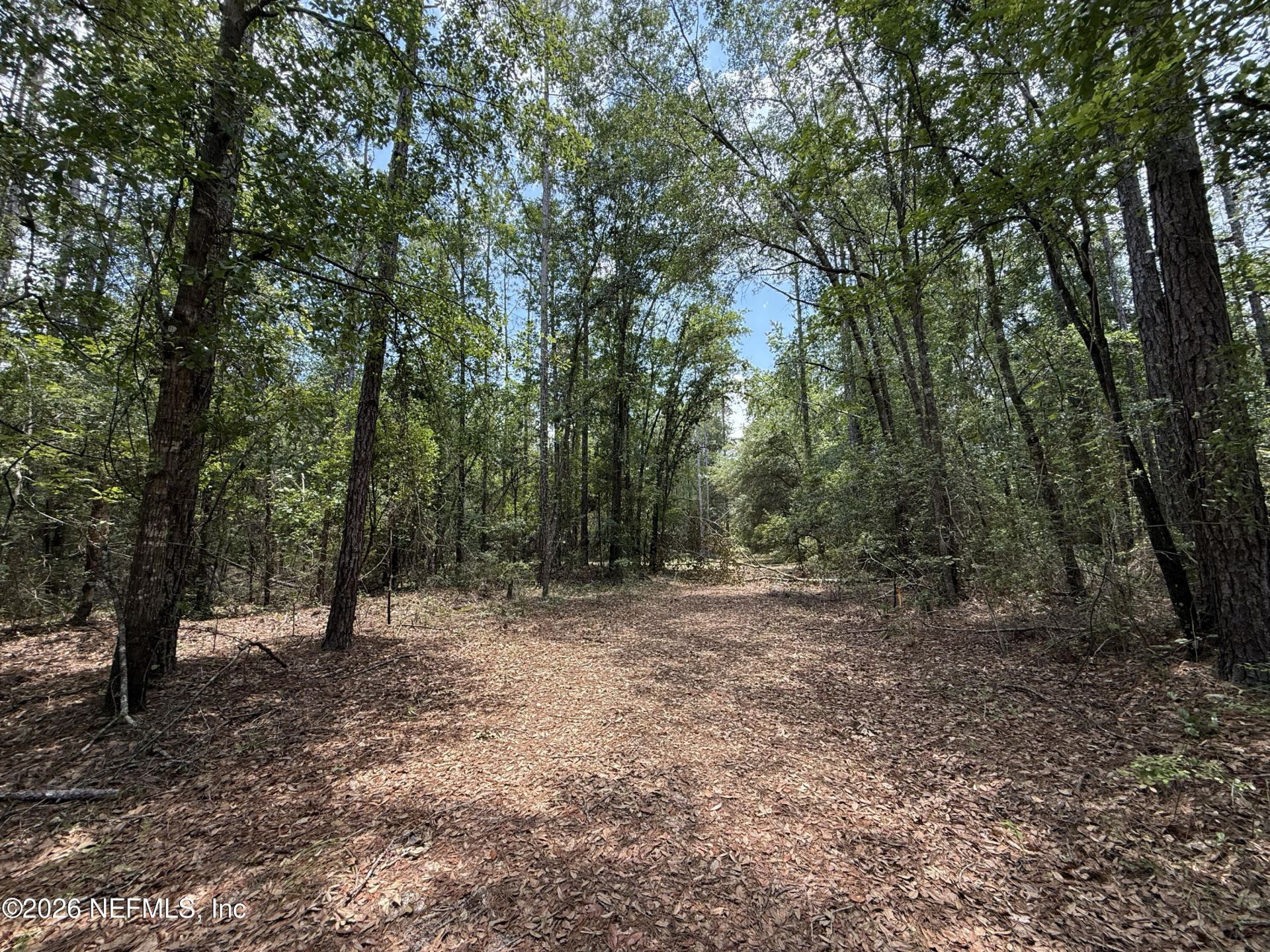 15422 Bullock Bluff Rd Road, Bryceville, FL 32009 Photo