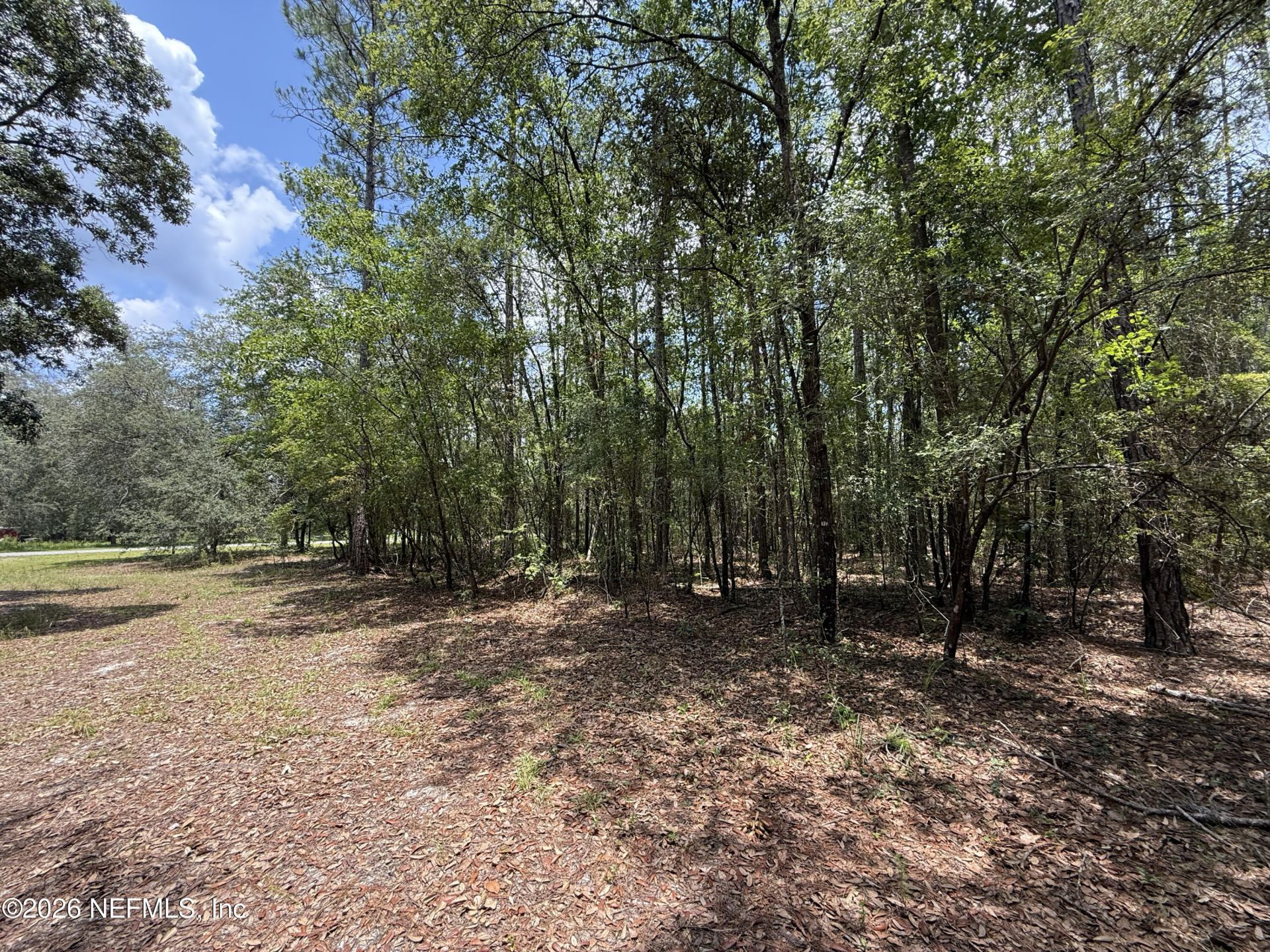 15422 Bullock Bluff Rd Road, Bryceville, FL 32009 Photo