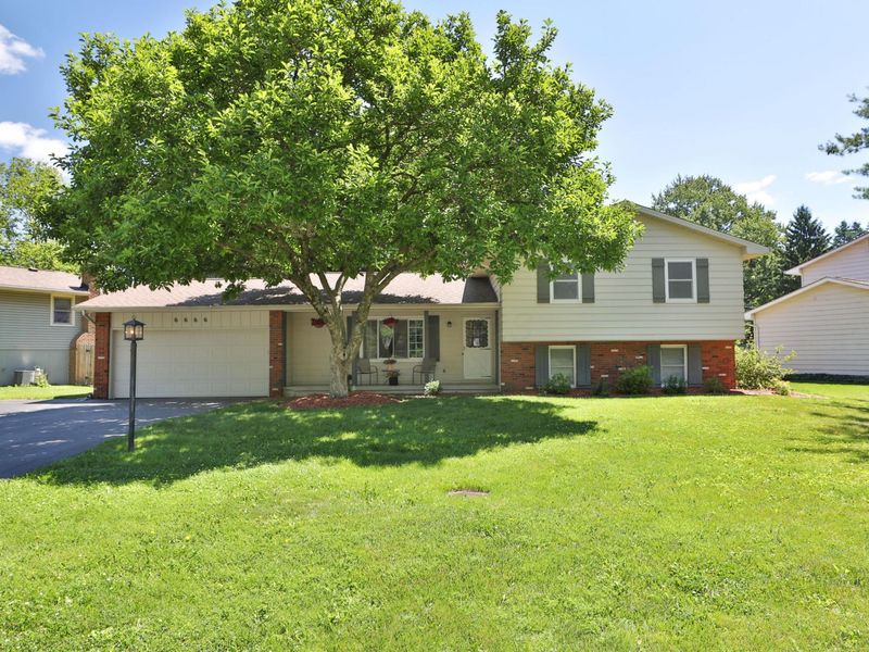 6666 Millbrae Road, Columbus, OH 43235 Photo 1