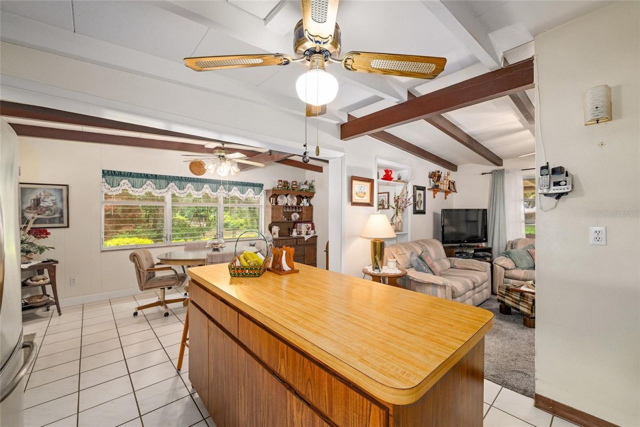 2345 Cr 453 , Lake Panasoffkee, FL 33538 Photo