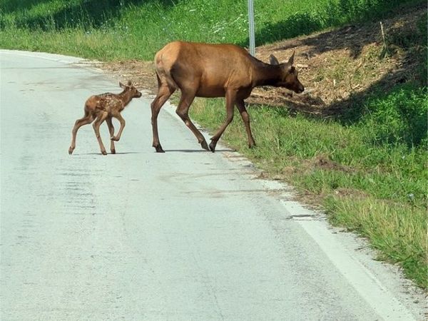 19874 AR 21 Highway , Ponca, AR 72670