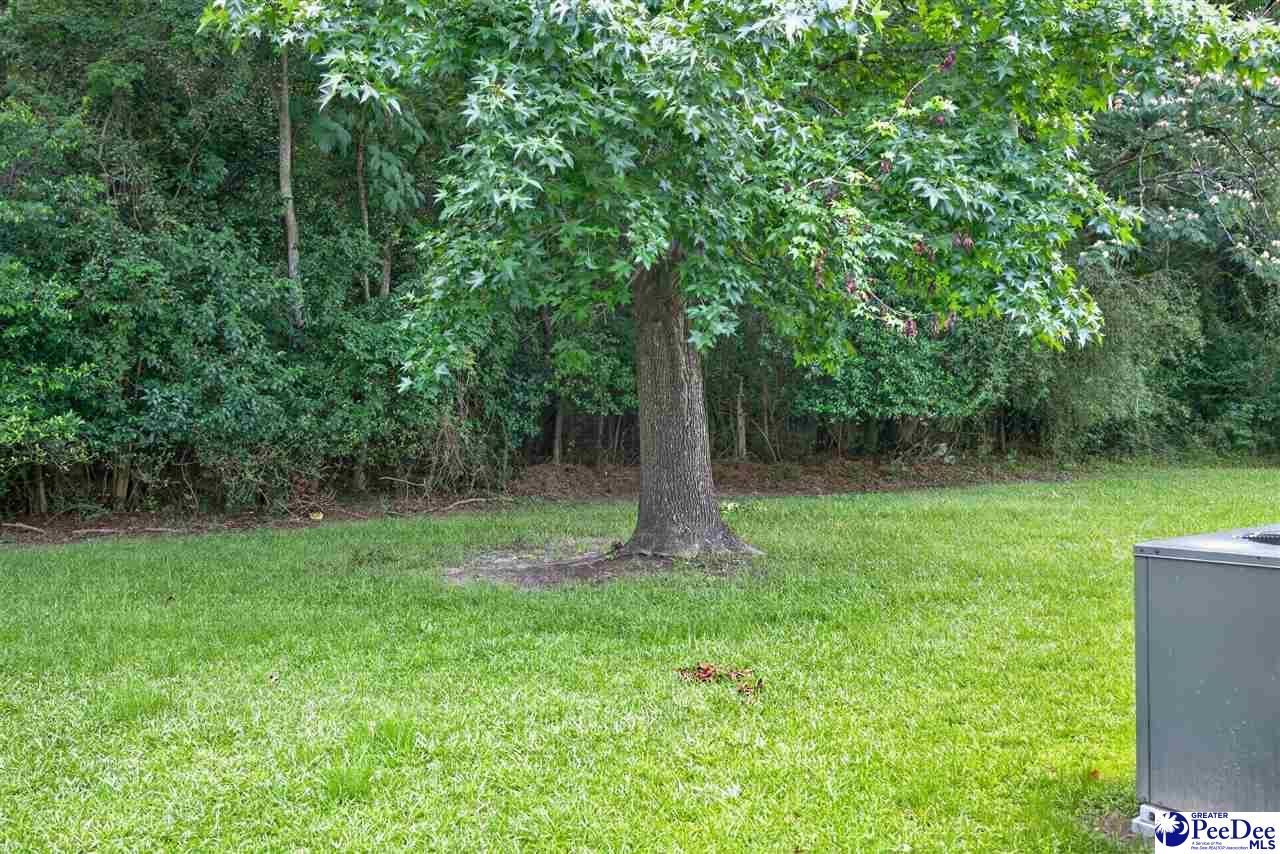 337 Wilson Rd Photo 8