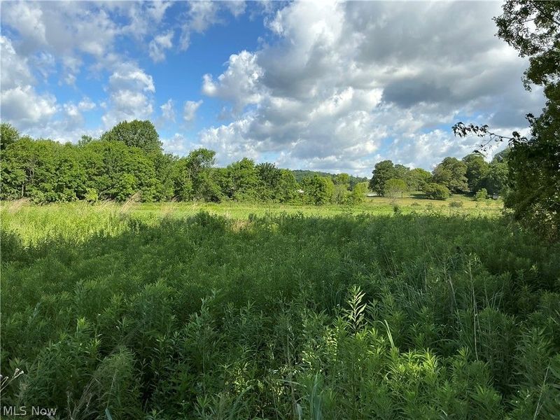Dolphin Street SW, Strasburg, OH 44680 Photo 14
