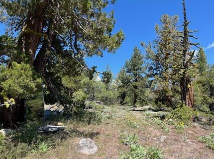019-080-023-000 Groundhog Rock, Sierraville, CA 96126 Photo