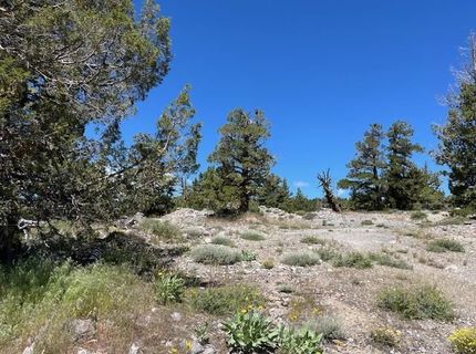 019-080-023-000 Groundhog Rock, Sierraville, CA 96126 Photo