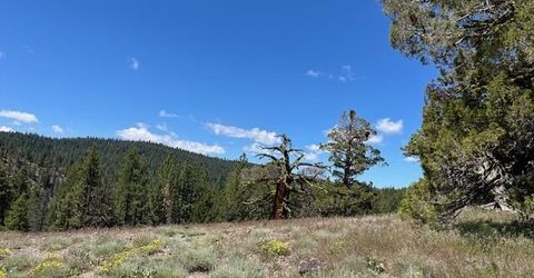 019-080-023-000 Groundhog Rock, Sierraville, CA 96126 Photo