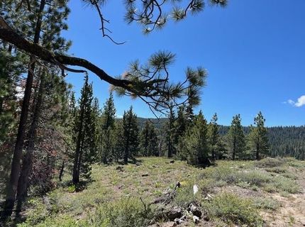 019-080-023-000 Groundhog Rock, Sierraville, CA 96126 Photo