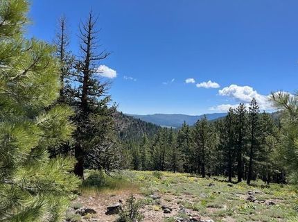 019-080-023-000 Groundhog Rock, Sierraville, CA 96126 Photo
