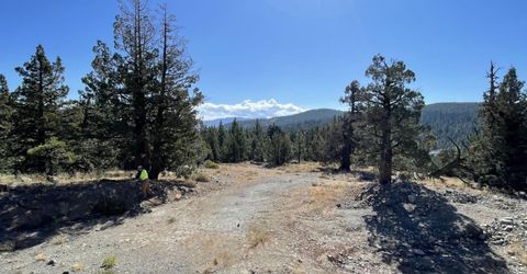019-080-023-000 Groundhog Rock, Sierraville, CA 96126 Photo