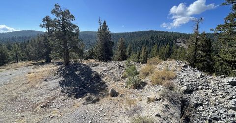 019-080-023-000 Groundhog Rock, Sierraville, CA 96126 Photo