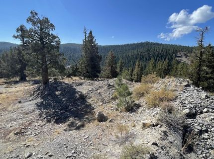 019-080-023-000 Groundhog Rock, Sierraville, CA 96126 Photo