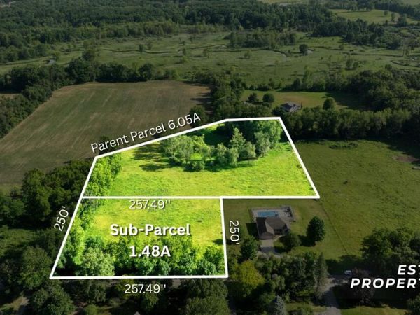 Parcel A Reed Road, Clarklake, MI 49234