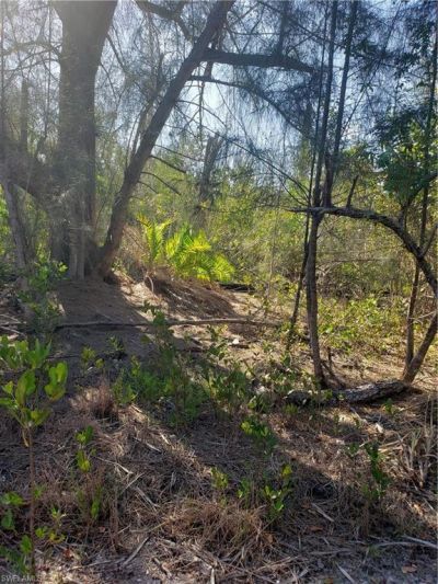 Pirate Landing Ln, Other, FL 33956 Photo