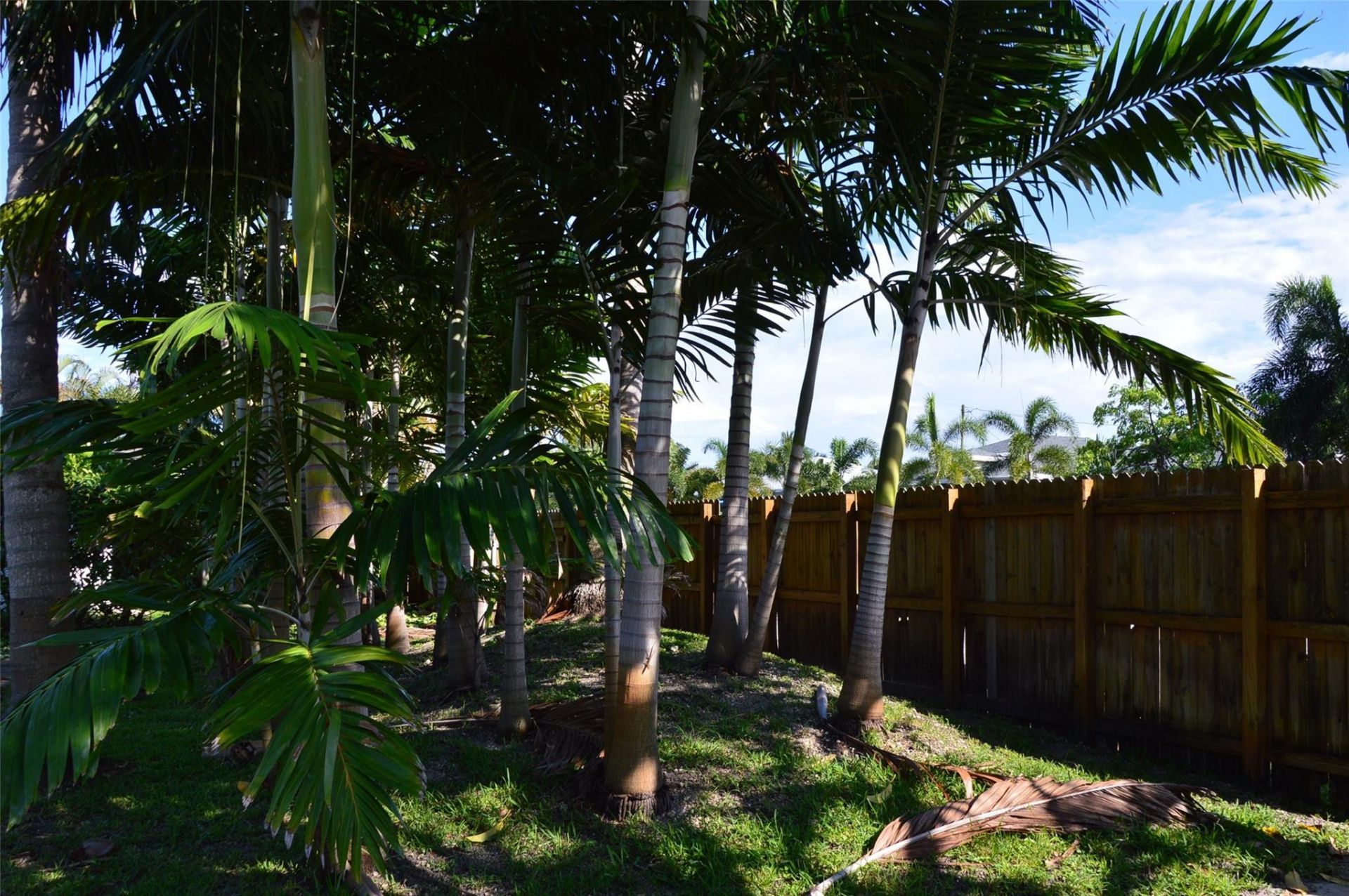 819 NE 14th Court, Unit B, Fort Lauderdale, FL 33304 Photo