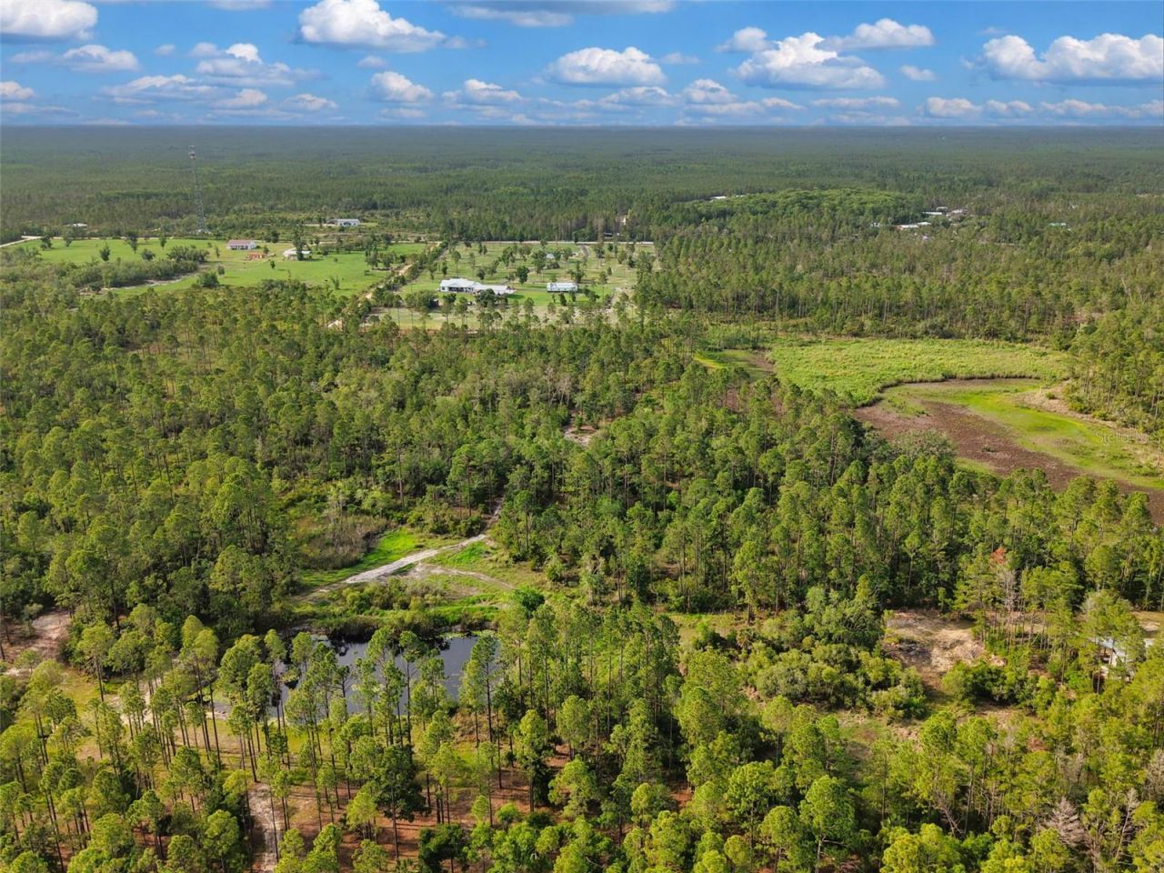 Lukayce Lane , Steinhatchee, FL 32359 Photo