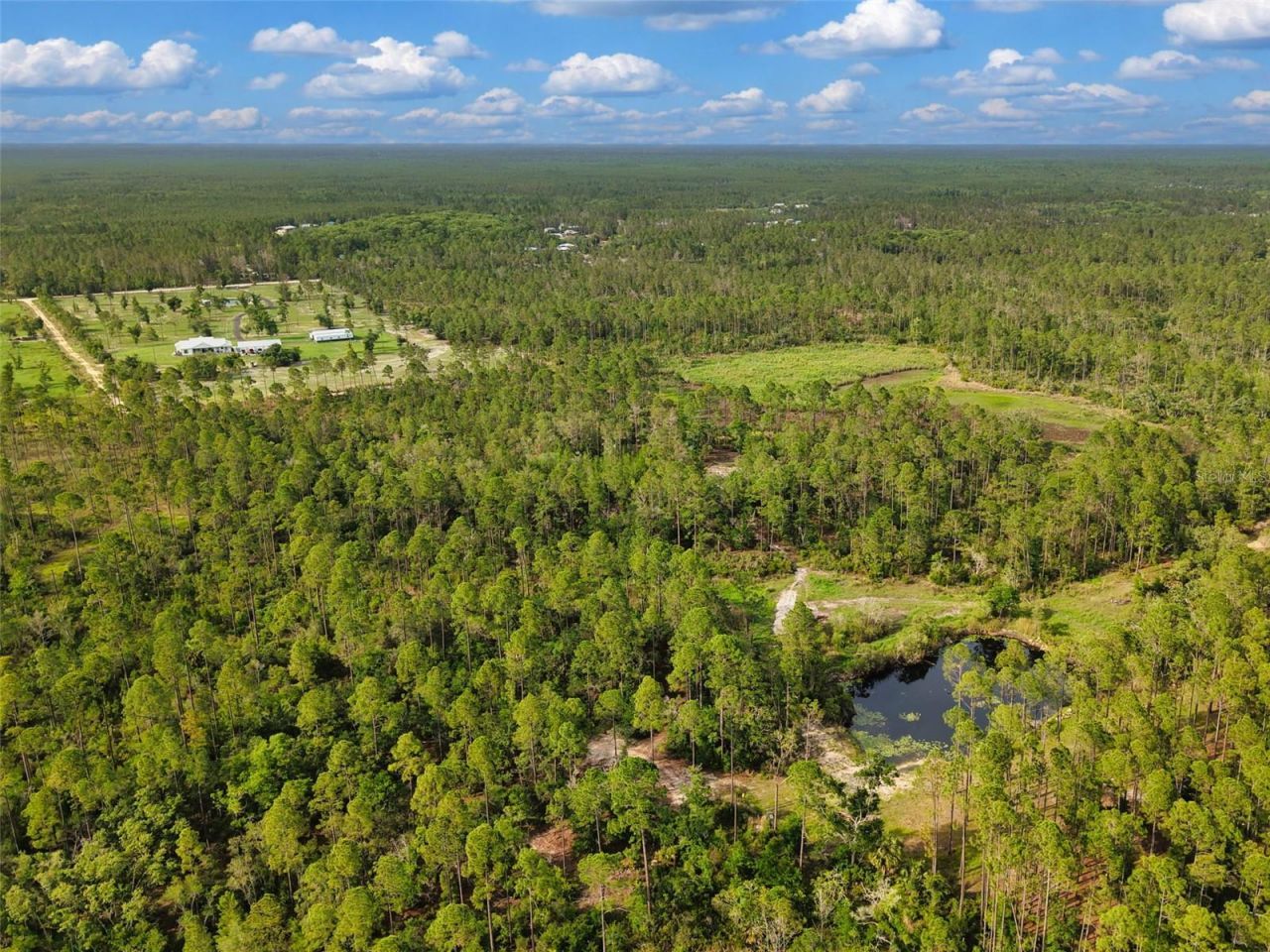 Lukayce Lane , Steinhatchee, FL 32359 Photo
