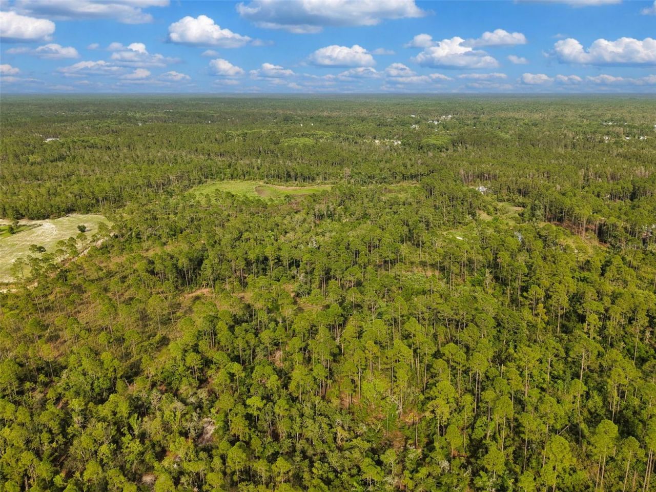 Lukayce Lane , Steinhatchee, FL 32359 Photo