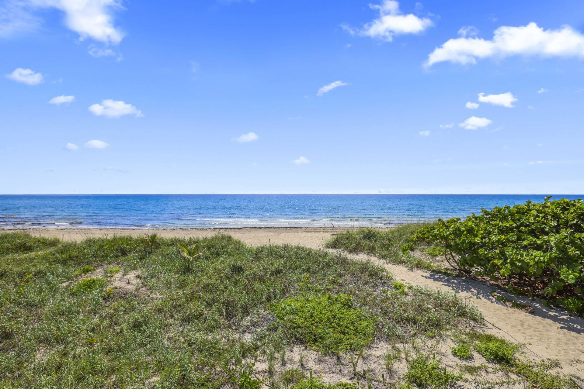 4748 S Ocean Boulevard, Unit 502, Highland Beach, FL 33487 Photo