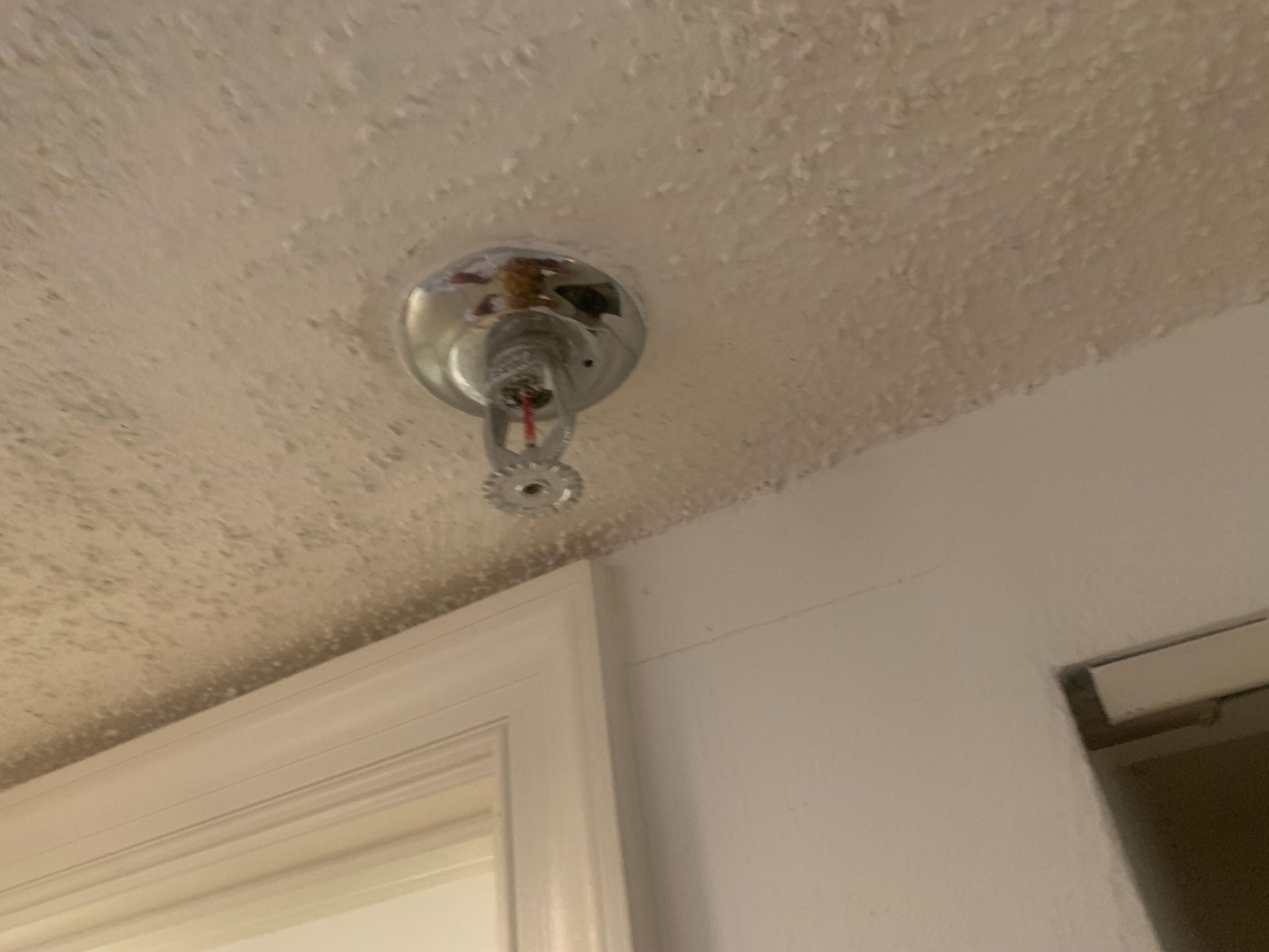 9470 Tangerine Place, Unit 209, Davie, FL 33324 Photo