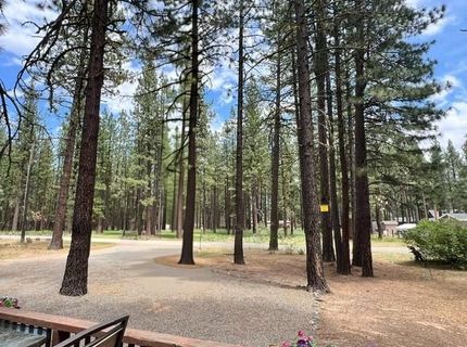 5685 Casey Jones Road, Portola, CA 96122 Photo