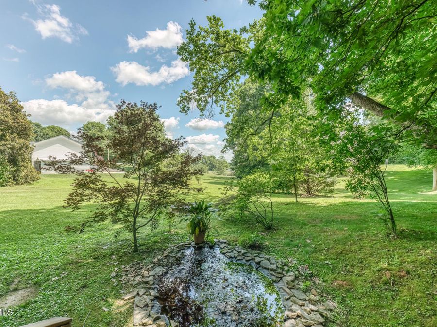 Property Image 54