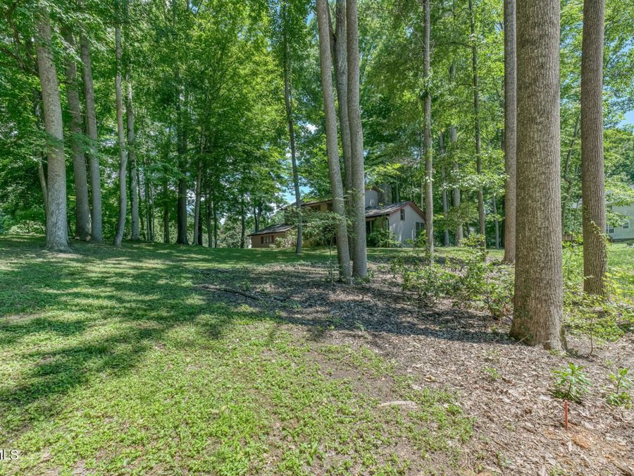 Property Image 58