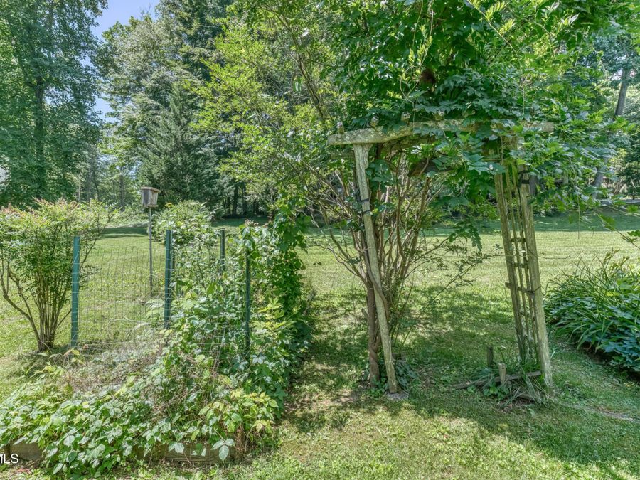 Property Image 67