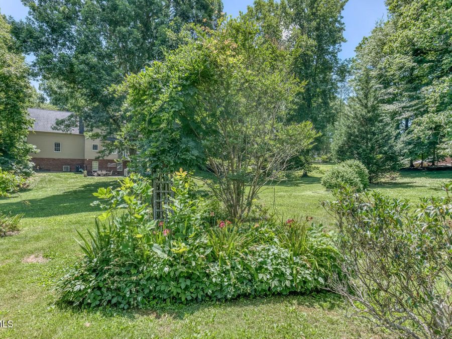 Property Image 68