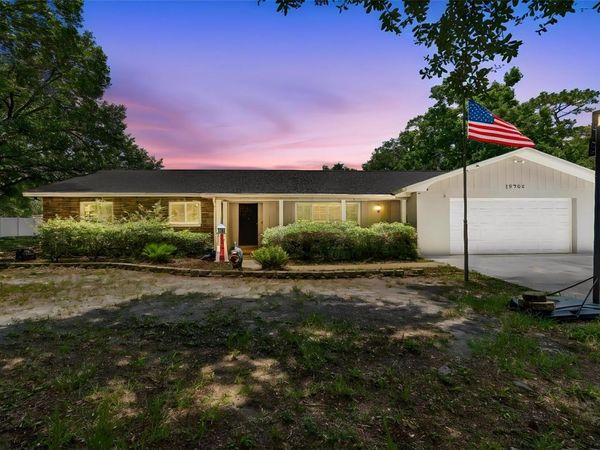 19706 ANGEL LANE , ODESSA, FL 33556