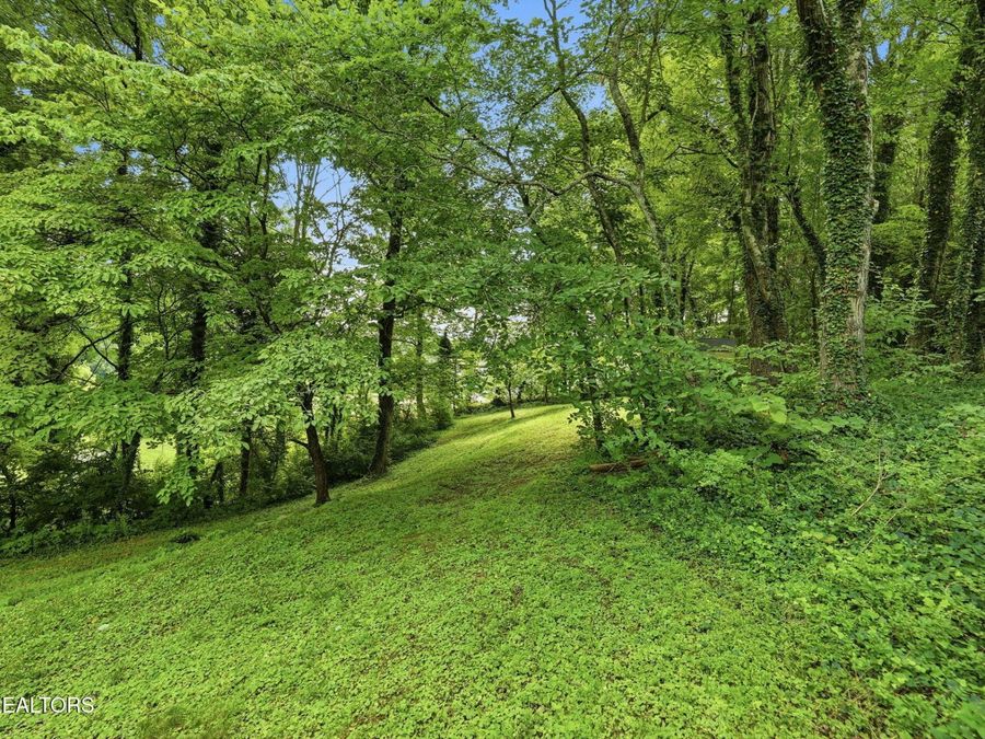 Property Image 52
