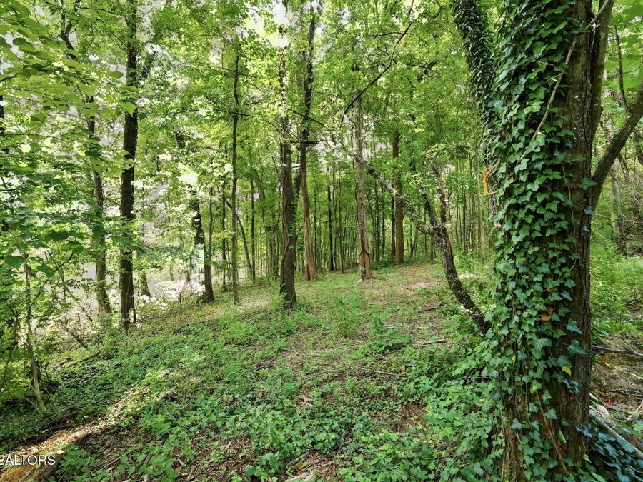 Property Image 53