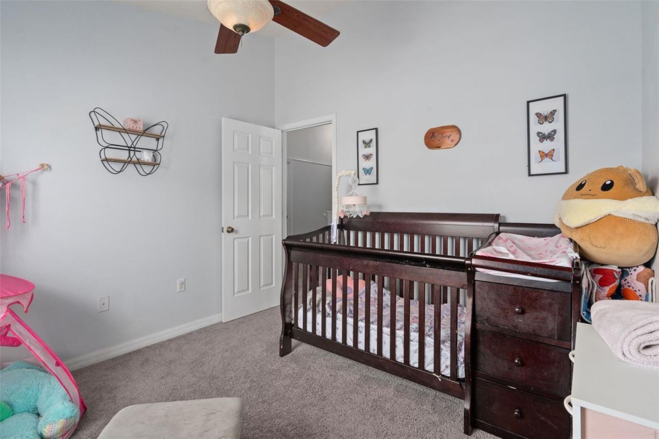 27642 Pleasure Ride Loop , Wesley Chapel, FL 33544 Photo