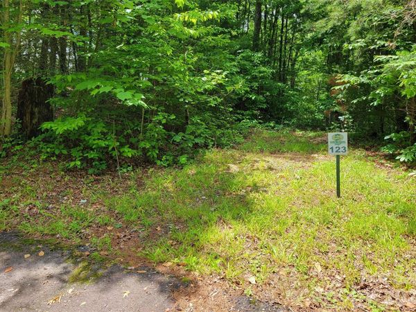 TBD Bear River Lodge Road , Marshall, NC 28753