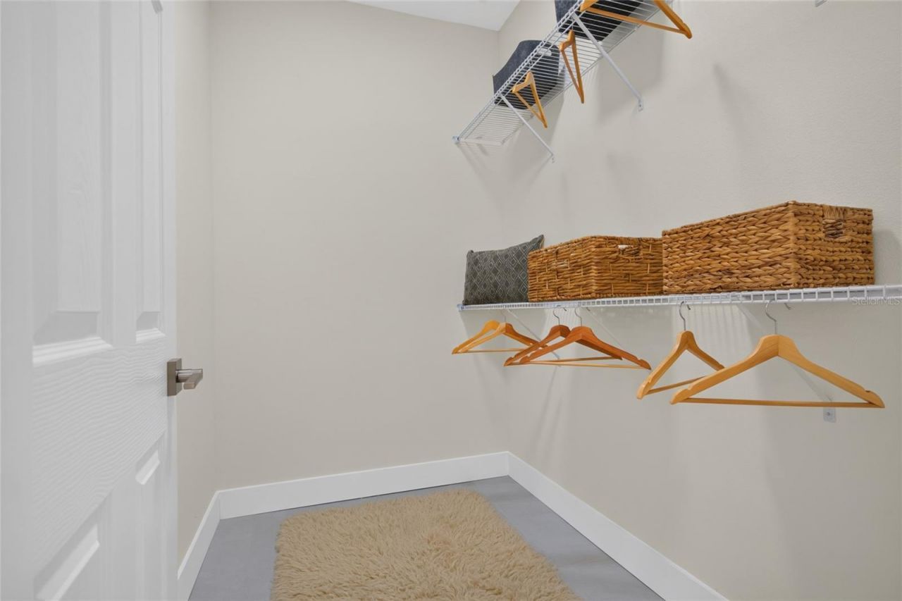 24133 Denali Court, Lutz, FL 33559 Photo