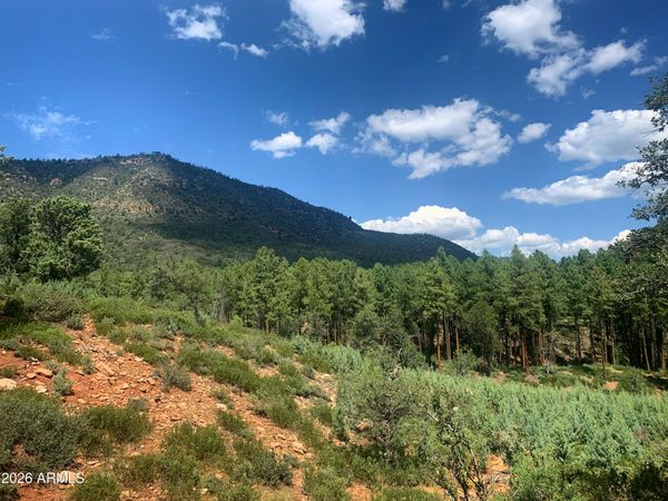 Lot 49 W Ruin Hill Loop Loop, Unit 49, Pine, AZ 85544