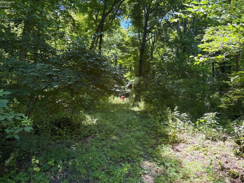 693 New Colony, Put in Bay, OH 43456 Photo 12
