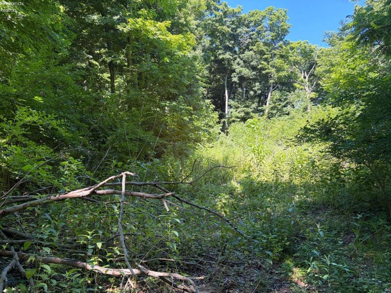 693 New Colony, Put in Bay, OH 43456 Photo 13