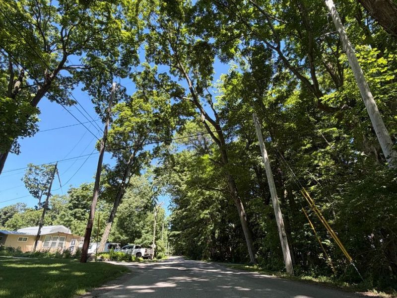 693 New Colony, Put in Bay, OH 43456 Photo 3