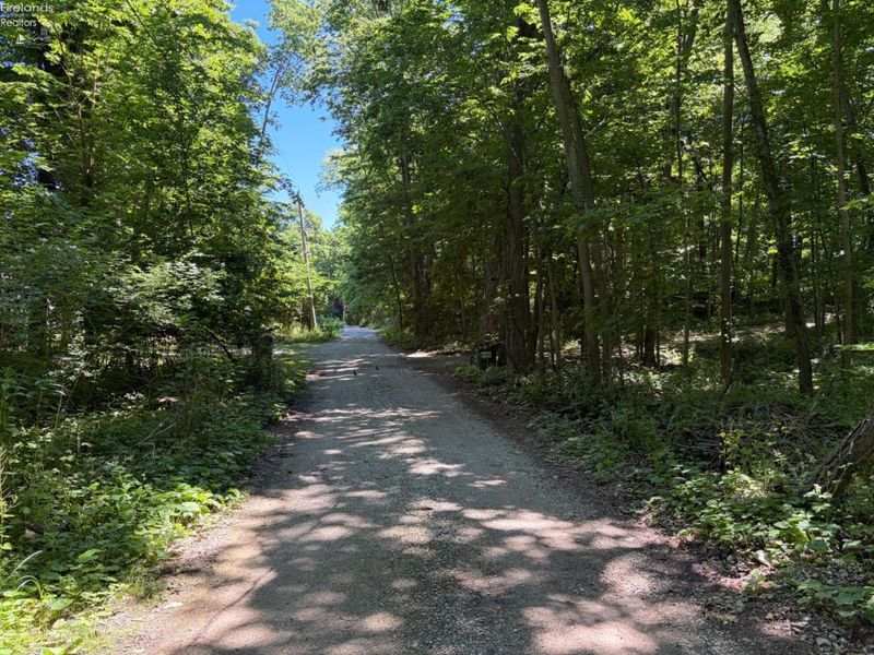 693 New Colony, Put in Bay, OH 43456 Photo 8