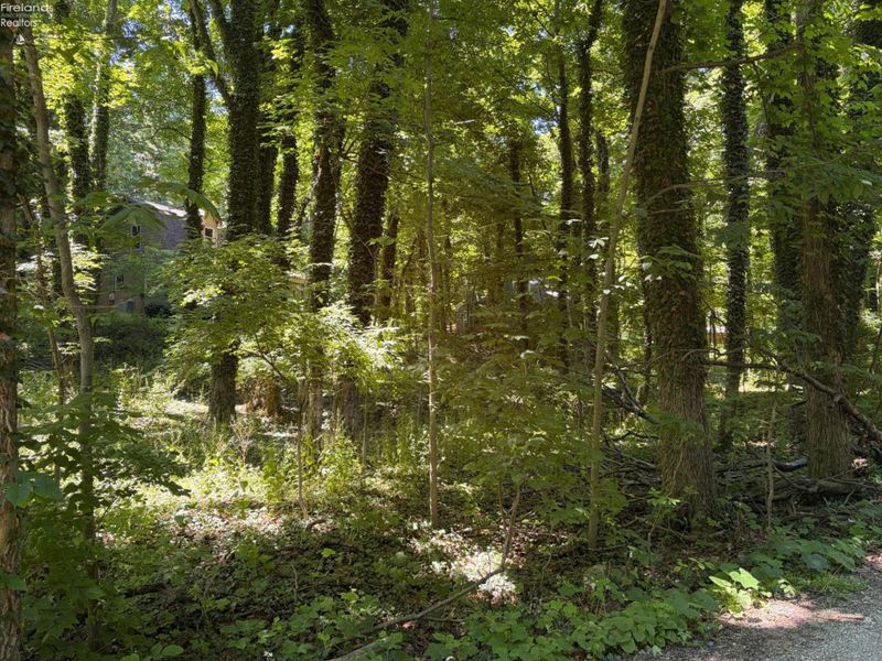 693 New Colony, Put in Bay, OH 43456 Photo 9