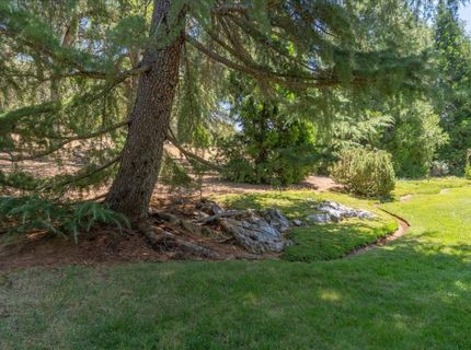 830 Stella Dr, Murphys, CA 95247 Photo