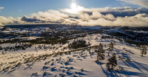 Lake Valley Rd, Emigrant Gap, CA 95715 Photo