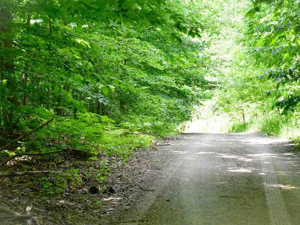 TBD Berry Lane, Boyne City, MI 49712